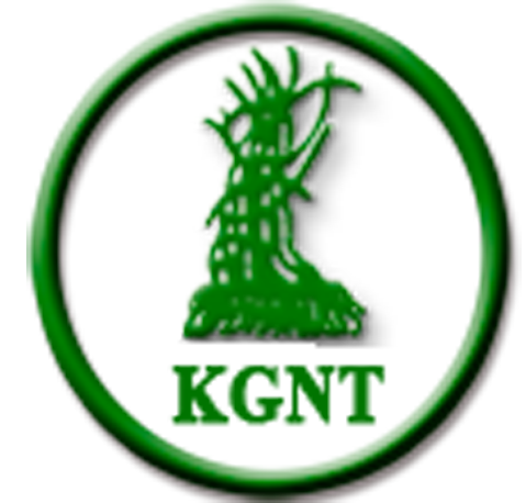 Web Logo